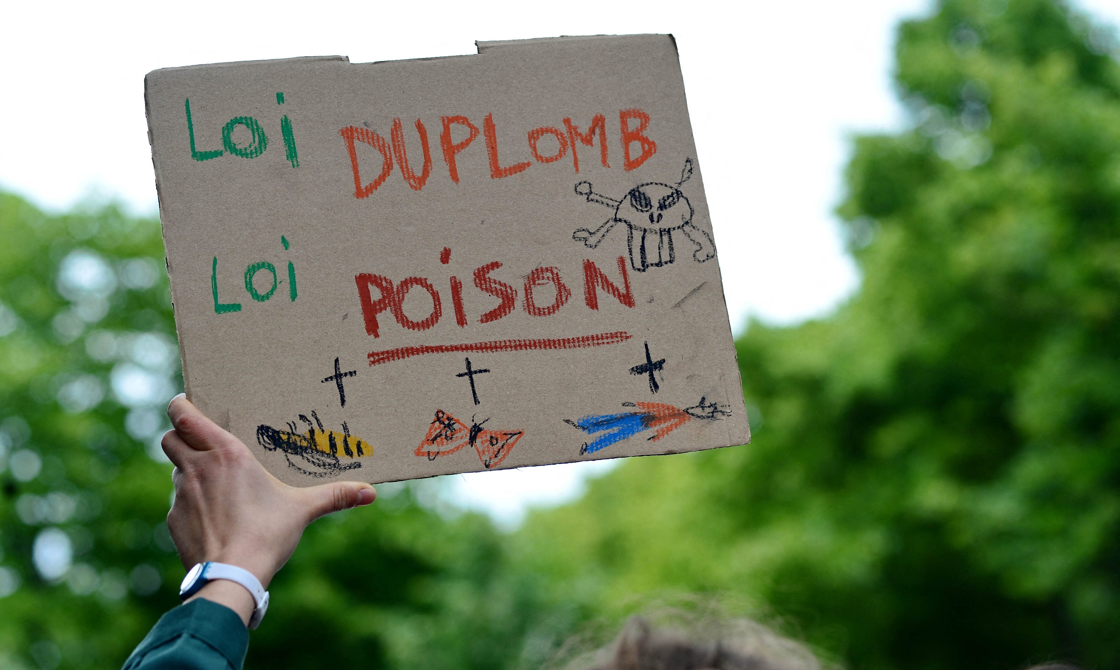 Duplomb Law: RN en Macronisten gaan in gezamenlijke commissie hand in hand om ecologische tegenslagen te erkennen