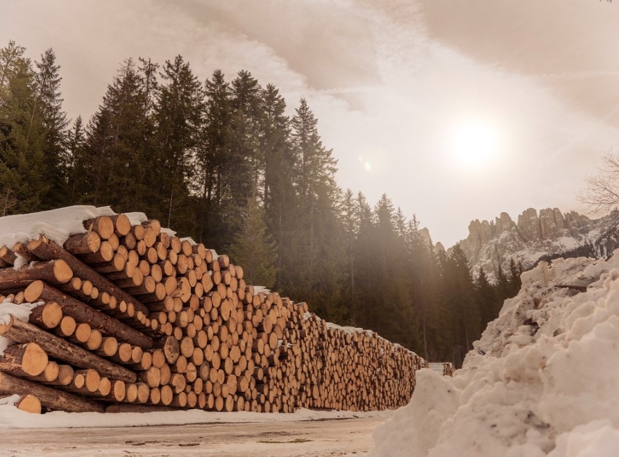 Federlegnoarredo: export eerste kwartaal stabiel op 4,7 miljard euro
