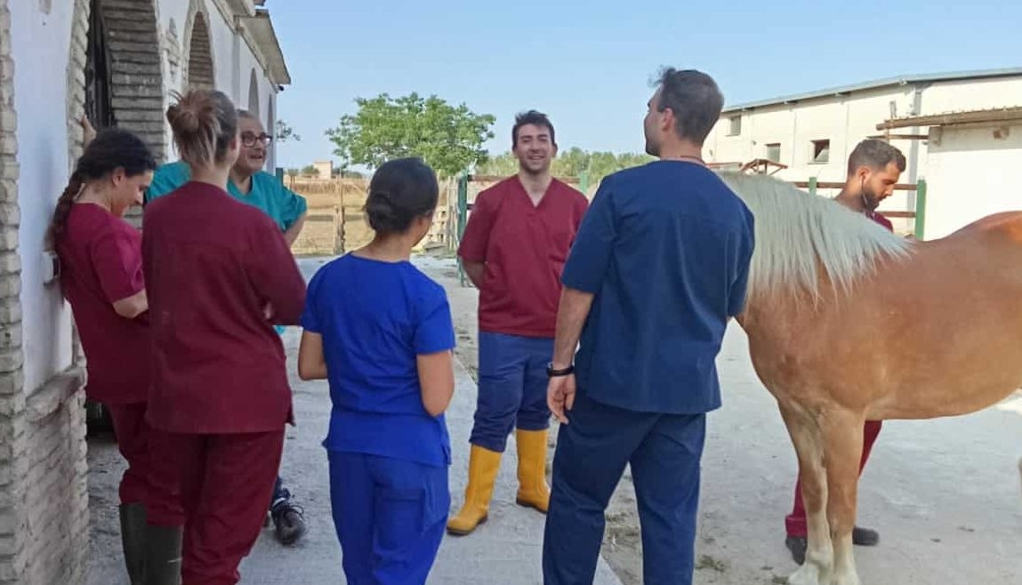 Tra i cavalli di Emmaus, gli studenti di Veterinaria sperimentano la medicina equina e il valore dell’incontro