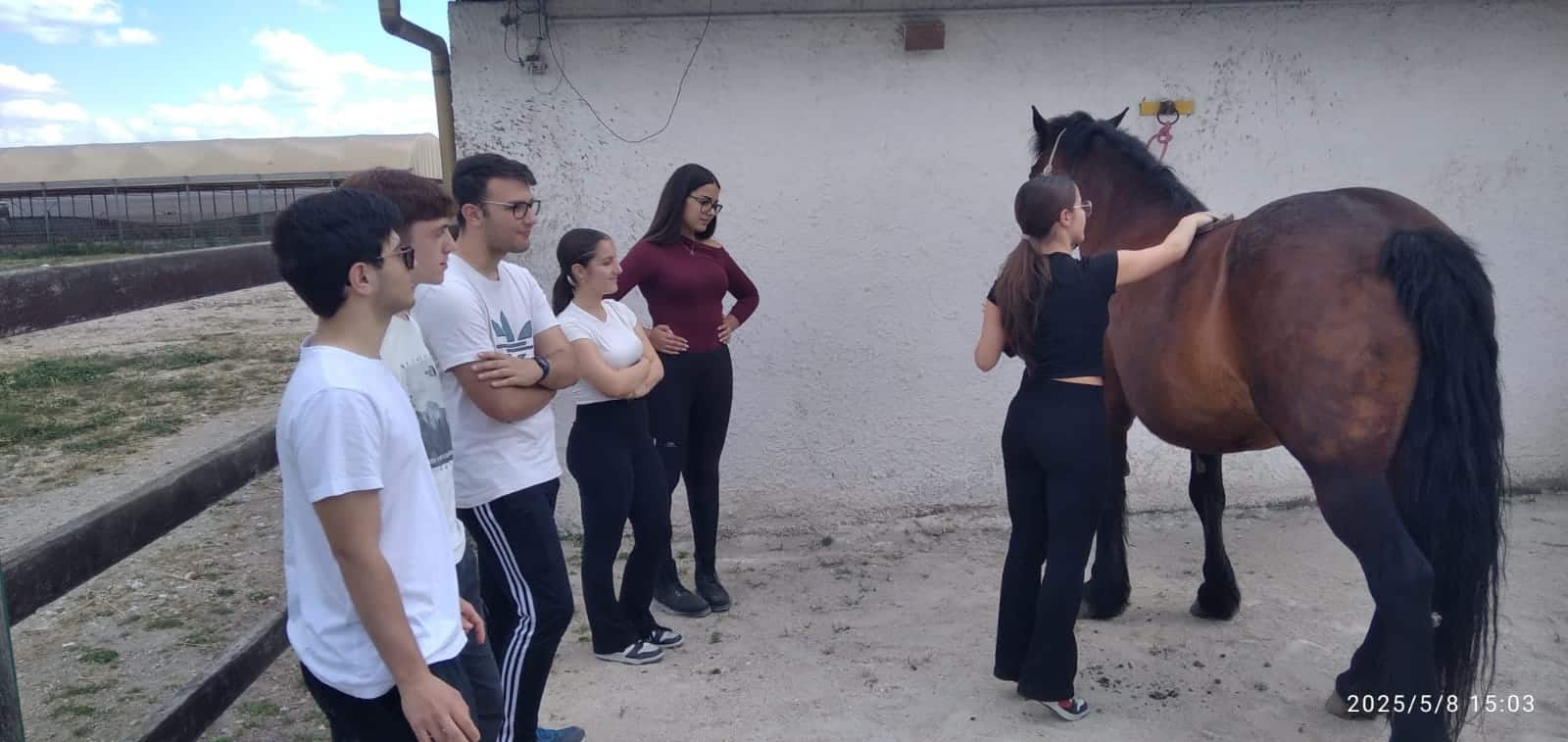 A cavallo nella cooperativa Emmaus per superare le ansie, le insicurezze e le paure. I corsi Riding del Liceo Volta