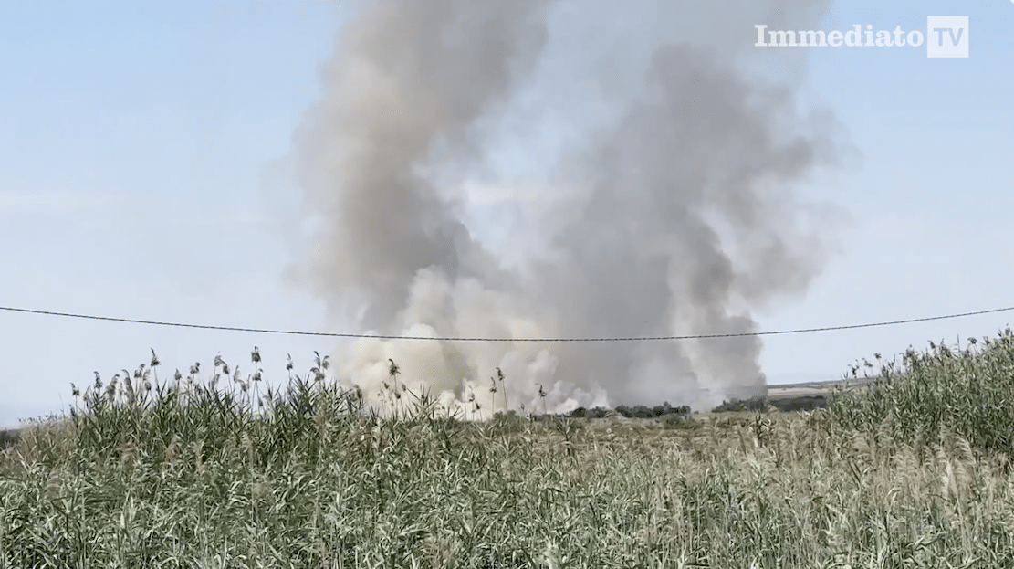Arson in Puglia, Coldiretti: "Six out of ten fires were caused by humans."