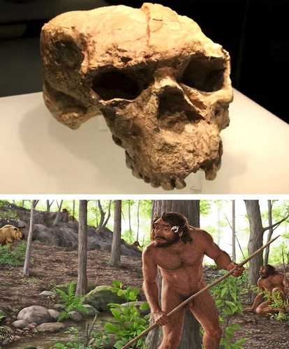 Millionen Jahre alter Schädel in China gefunden, schreibt die Chronologie der Menschheit neu