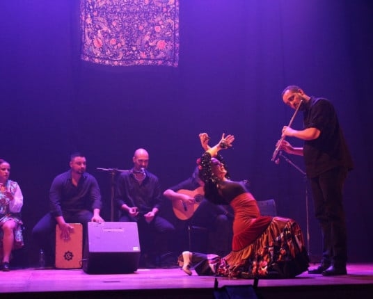 La compañía Del Puerto lanza un proyecto de preservación digital de su colección de flamenco