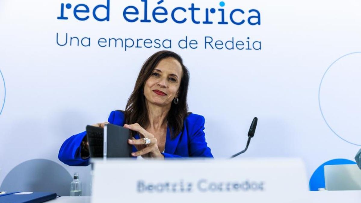 Red Eléctrica geeft aan dat de stroomstoring volledig te wijten is aan het falen van het energiebedrijf.