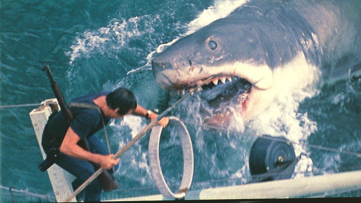 'Tiburón': 50 años del baño más sangriento en la playa