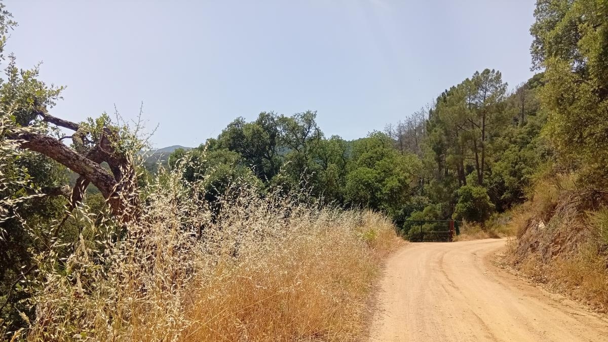Il dottor Trekking e il signor Hyde