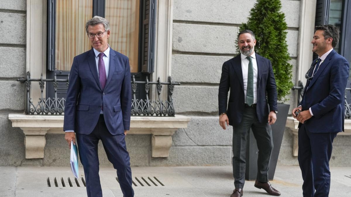 La questione Vox e PP