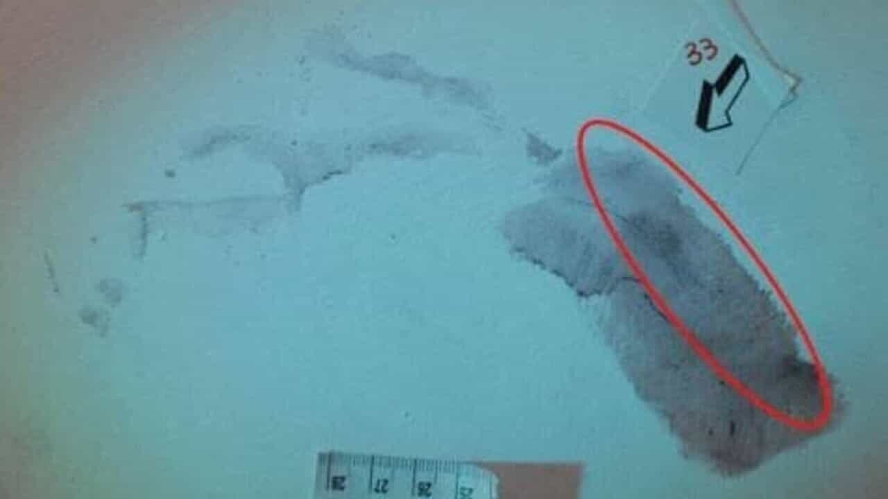 "The footprint next to the body is Sempio's, it is soaked in blood and sweat", according to the expert report by Stasi's lawyers