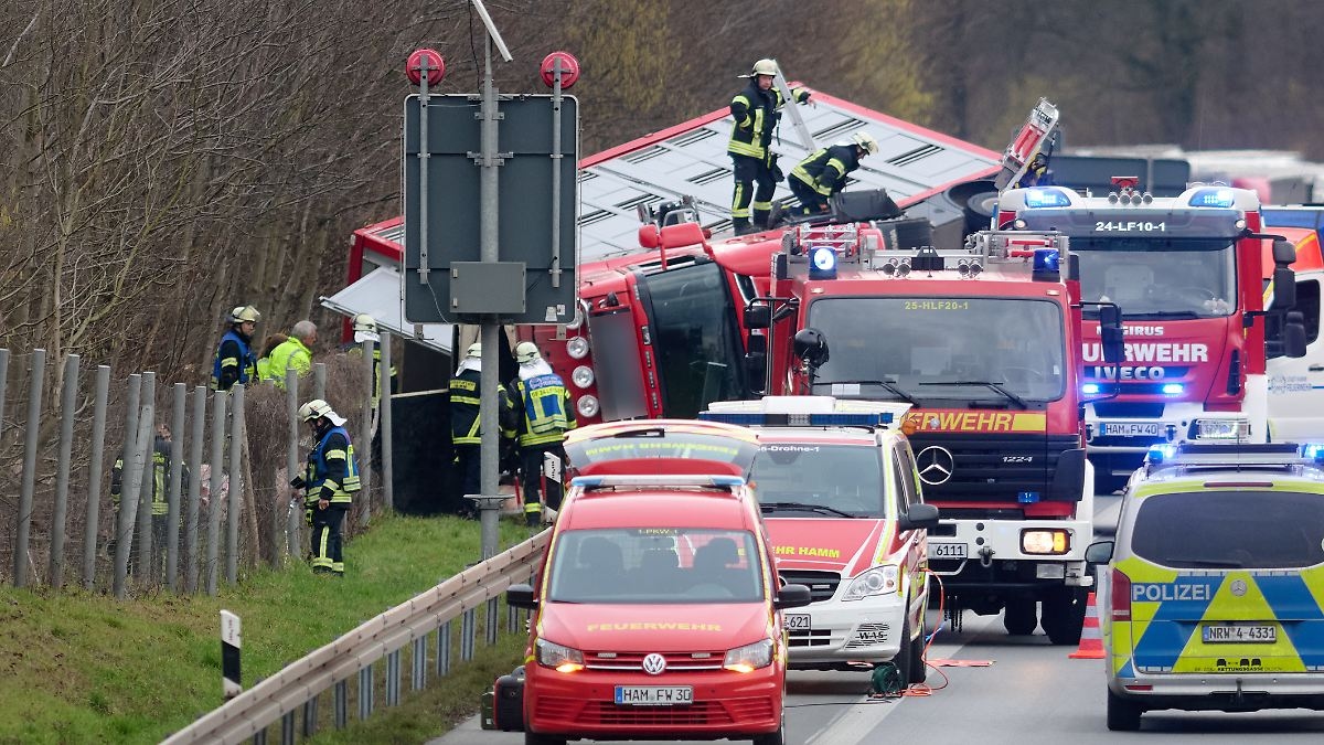 Varios animales muertos tras accidente: cerdos escapan de un camión volcado en la A2