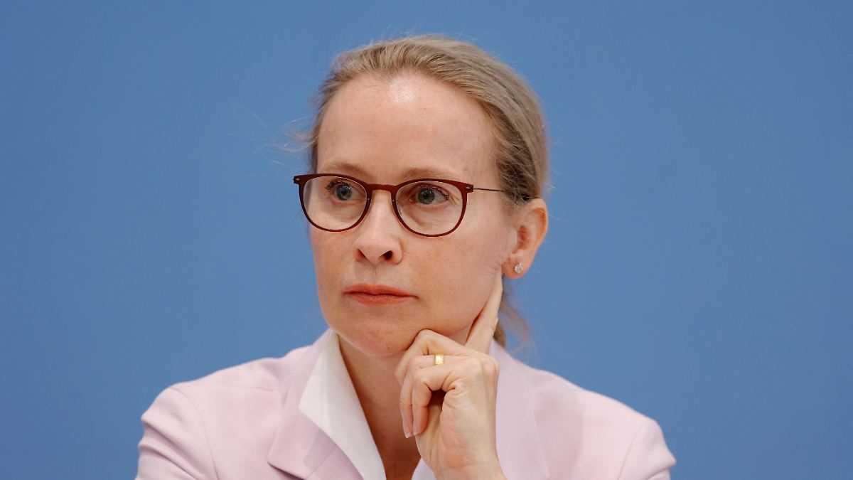 "Nothing can be ruled out" in the election: Chancellor Frei: Brosius-Gersdorf was "wronged"