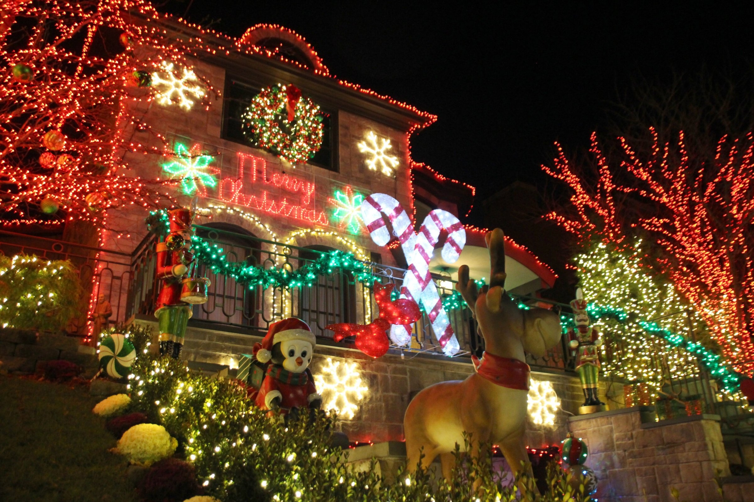 Talk Talks | Pada deszcz Manosfery