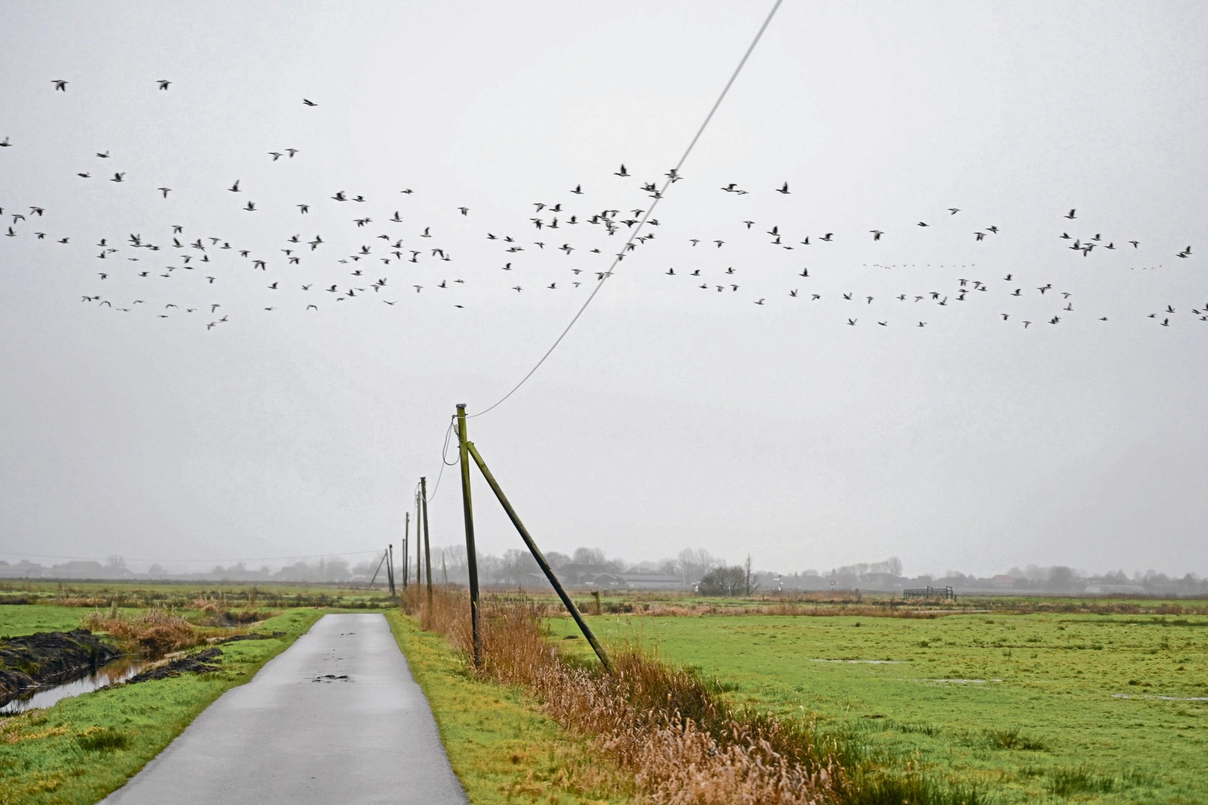 Literatura lewicowa | Christian Geissler: Walka o życie