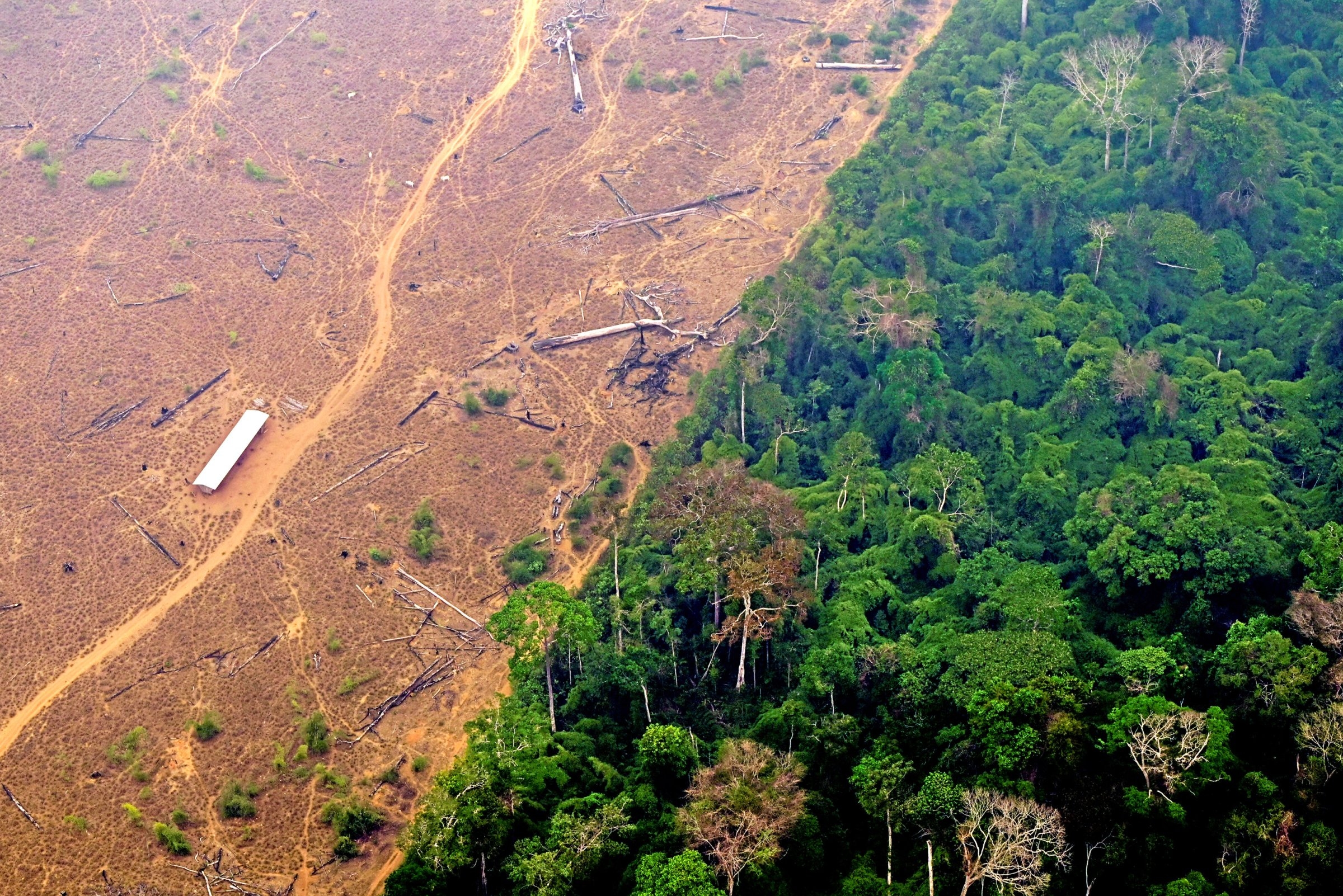 COP 30 | Szczyt klimatyczny na obszarze wysokiego ryzyka