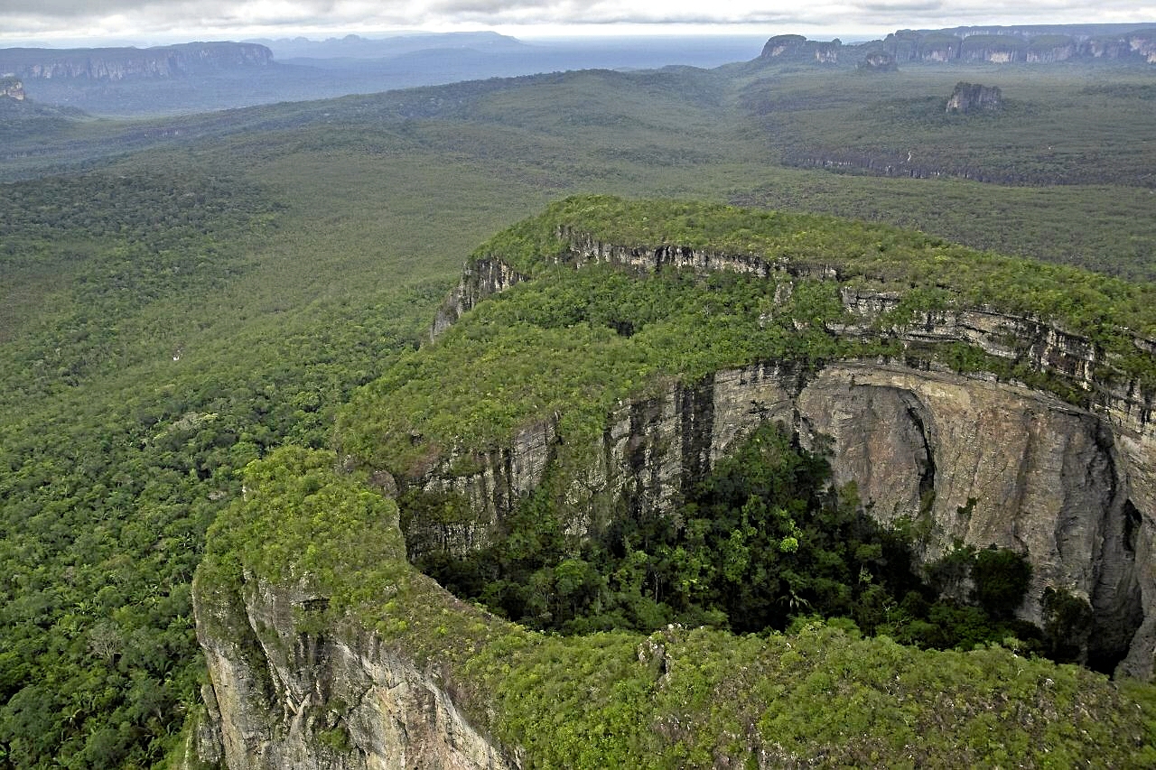 Fondo para la preservación de los bosques tropicales | Las selvas tropicales obtienen su propio mecanismo de financiación