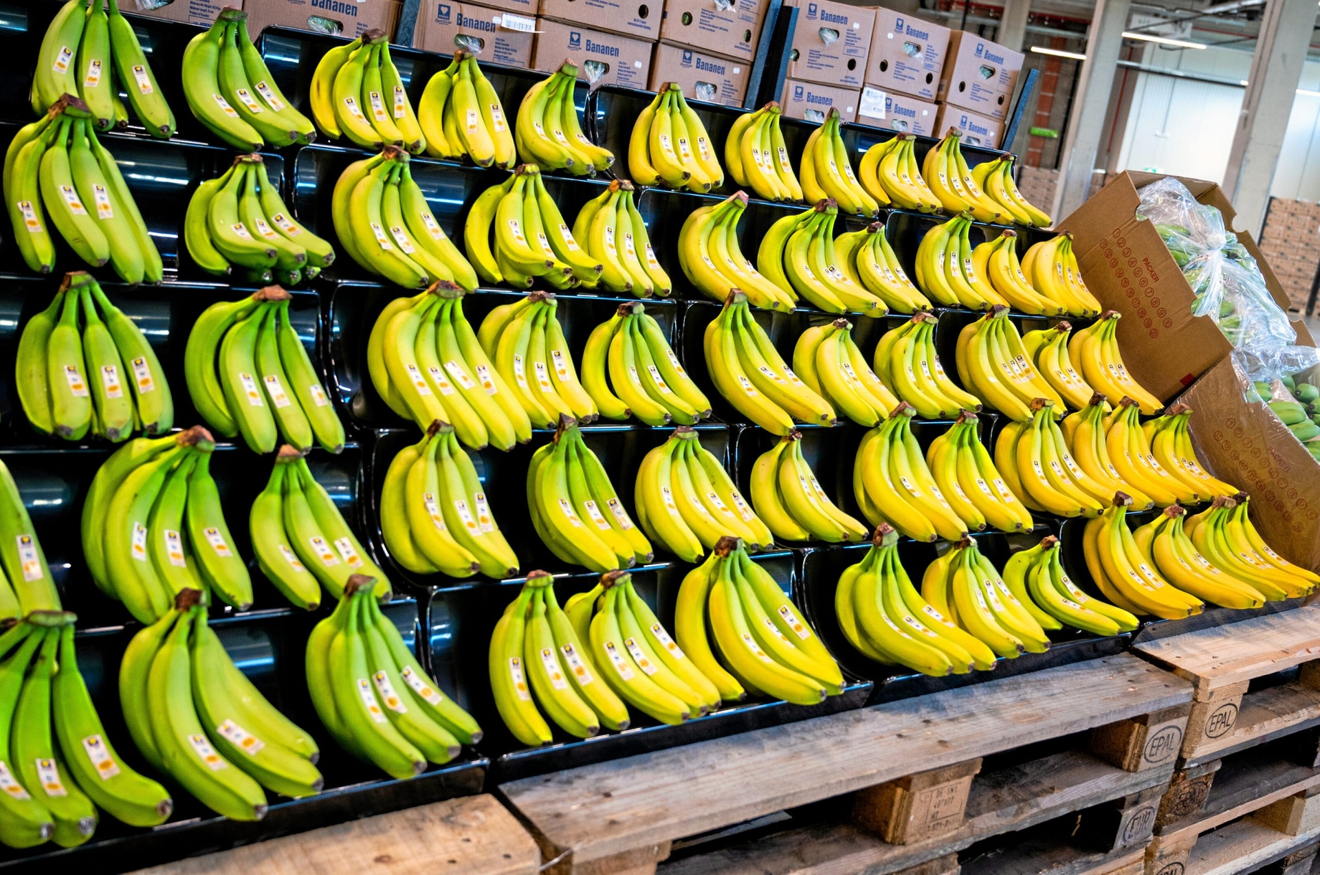 Labor law violations | Costa Rica: Success through supply chain law