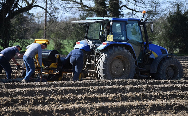 Ce vestige de l'intelligentsia, adoubé par les Britanniques, est nuisible et précisément partial en faveur des vaches.