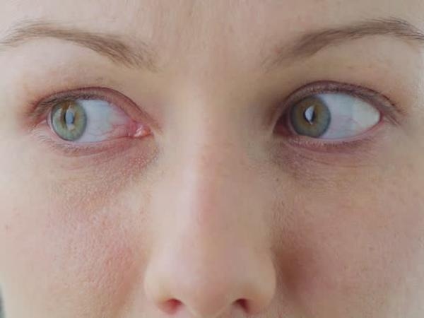 What does it mean when someone doesn't look you in the eye when you talk to them, according to science?