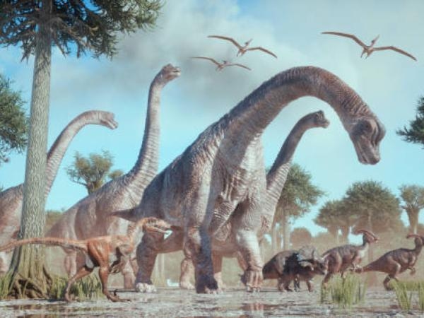 A bone tumor found in a dinosaur could change everything we know about cancer.