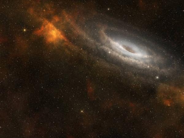 Sulla base dei dati della NASA, sono stati identificati buchi neri che divorano stelle massicce.