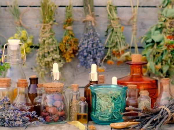 This is the 'holy herb' that can free you from parasites: how do you use it?