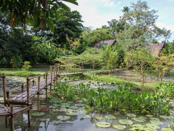 The wellness industry, Thailand's latest bet to attract tourists