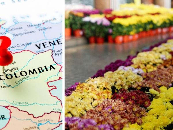6 tipos de flores que se dan en Colombia y pocas personas las conocen (son hermosas)