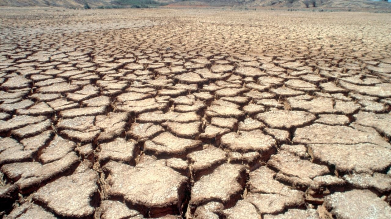 Yaqui and Mayo Valleys Region: They sow wheat and reap debt and uncertainty