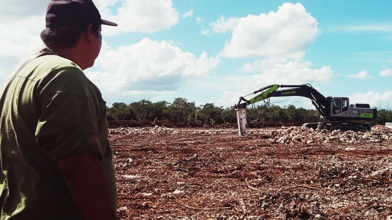 «Они оставляют нас с дерьмом, зловонием и мухами»: битва Кинчиля с птицефермой на Юкатане