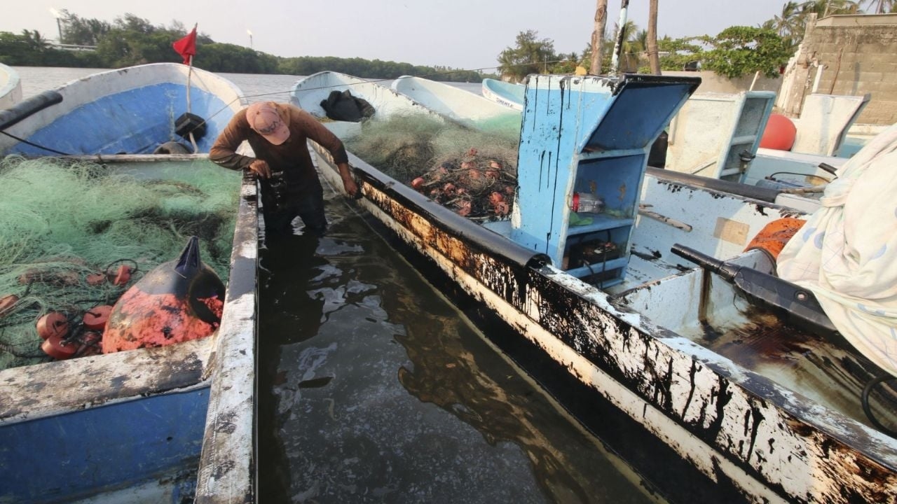 Pêcheurs touchés par la marée noire de Pemex à Tabasco : « Les autorités ferment les yeux. »