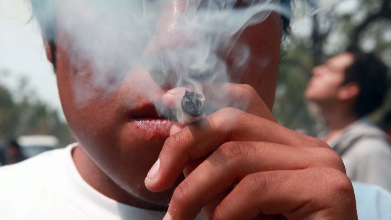 Le Conseil de la Nouvelle Droite affirme que Clara Brugada « construit une ville de fumeurs de marijuana ».