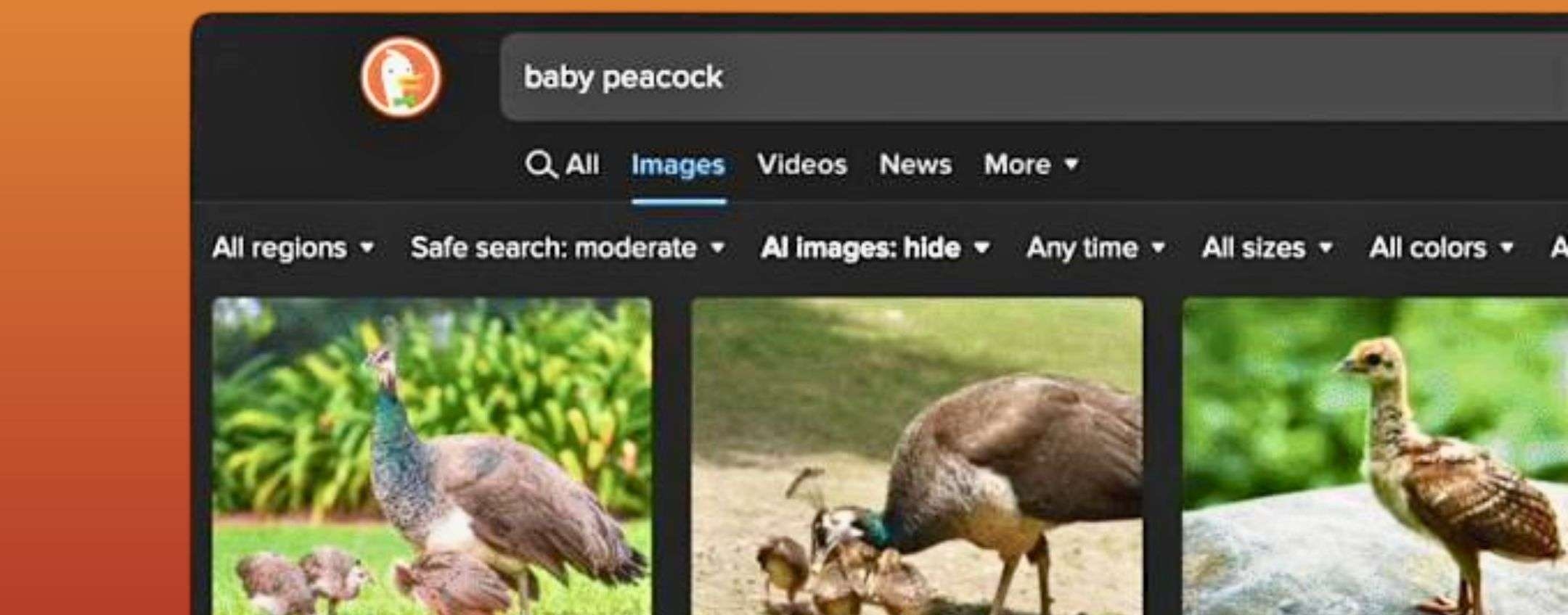 DuckDuckGo Hides Fake Images, War on AI Trash