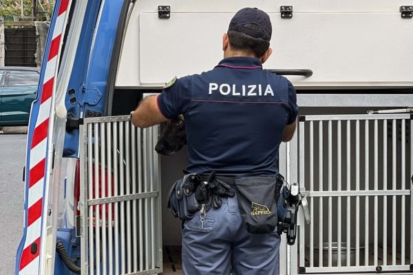 1.5 kg of drugs seized from an upholstery shop in Catania, a 24-year-old arrested.