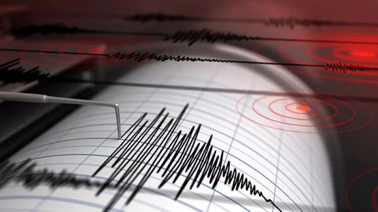 Deprem Cezayir'i fena salladı!