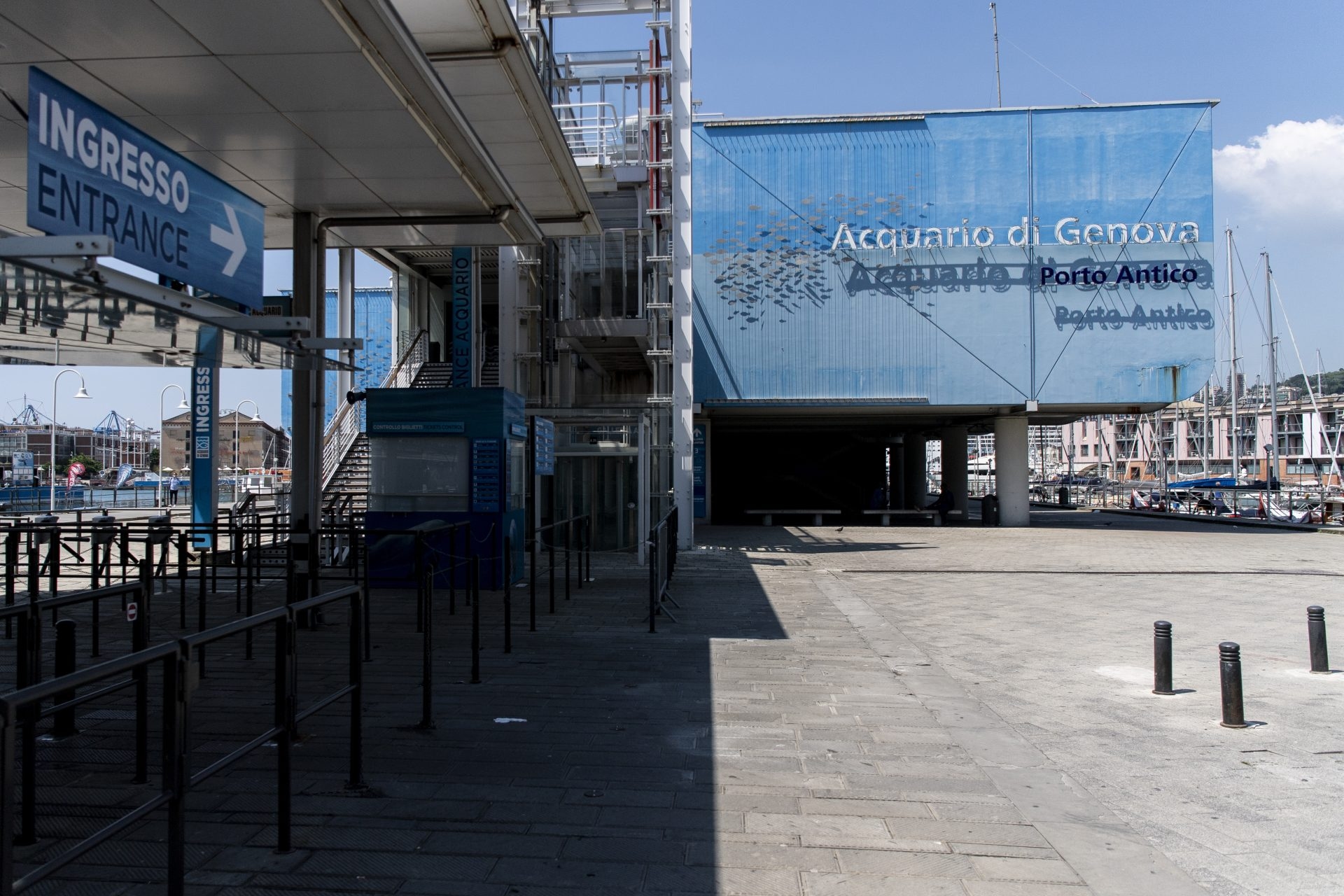 Genoa, there's a Geeco on the roof of the Aquarium