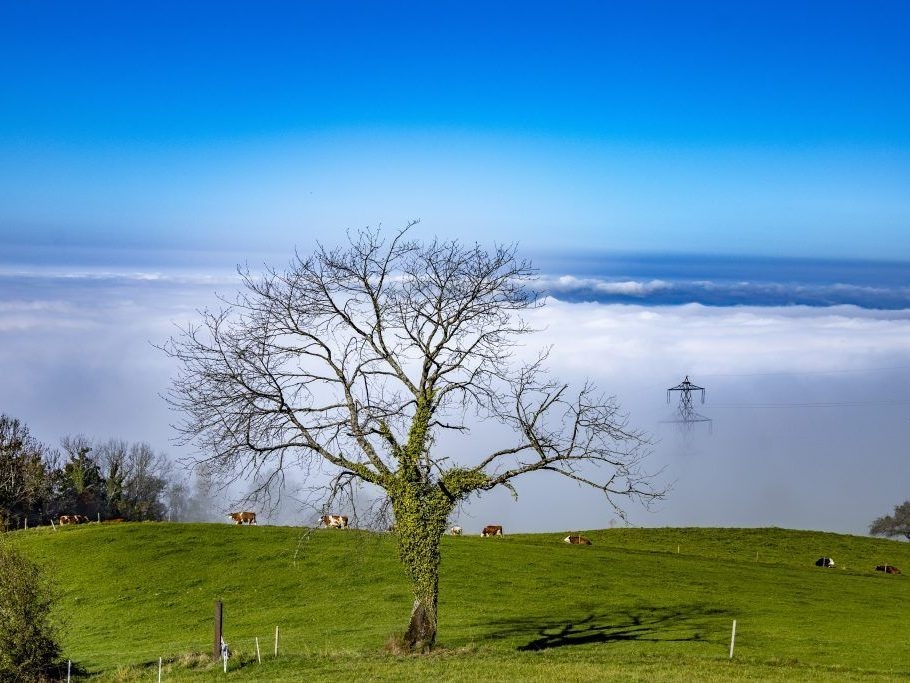 Por que Vorarlberg também precisa ser ventilada adequadamente
