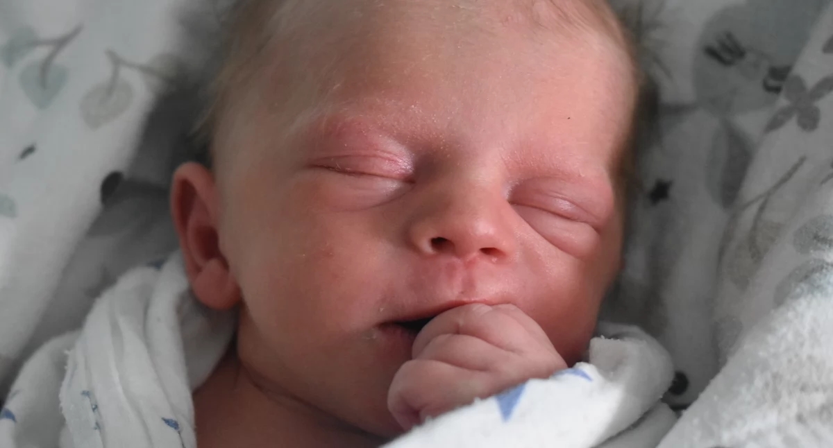LIFE'S BABY (babies with no. ŻP 25 from June 18)