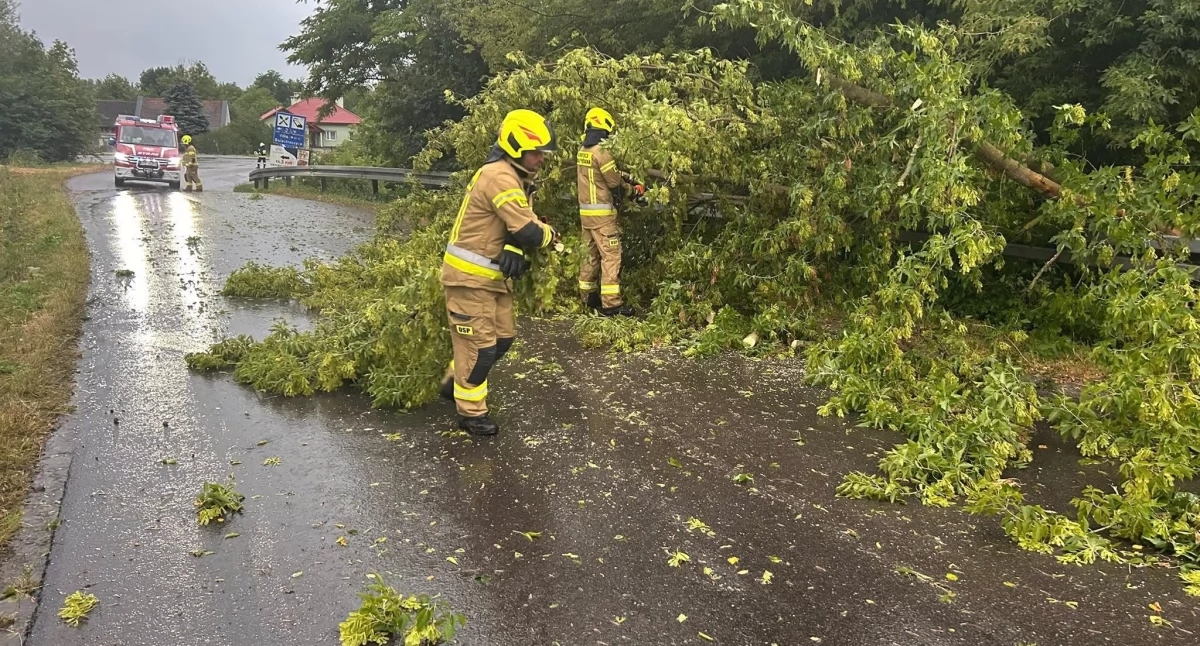 Than "Gabriel", or it was going to be dangerous, but nature spared the tragedy [PHOTOS]