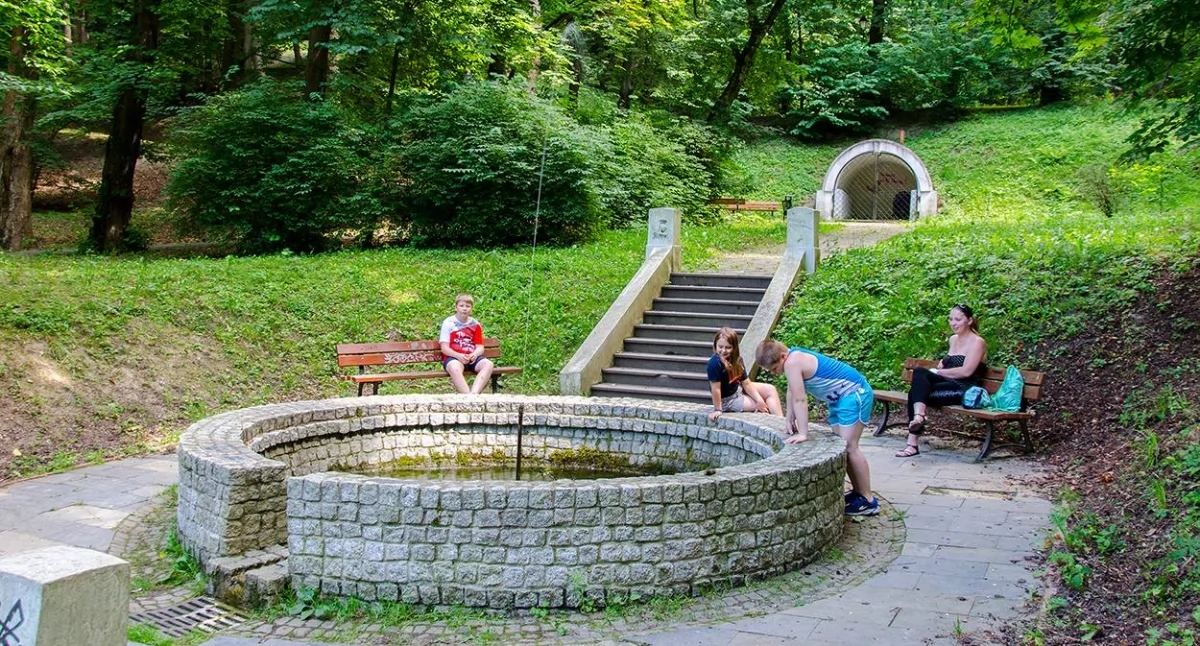 Artificial intelligence took a liking to Marian Stroński Castle Park