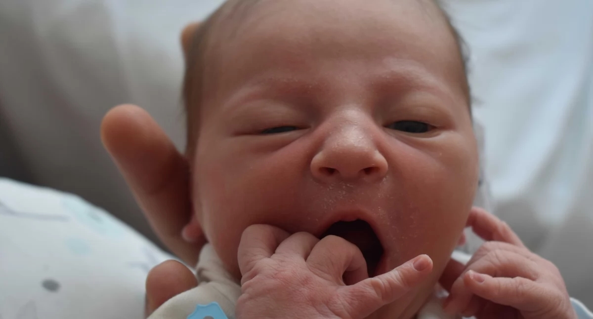 LIFE'S BABIES (Little ones from No. 31 ŻP from July 30, 2025)