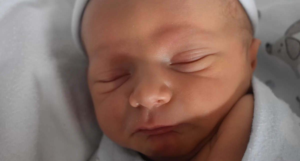 LIFE'S BABIES (babies with no. ŻP 32 from August 6)