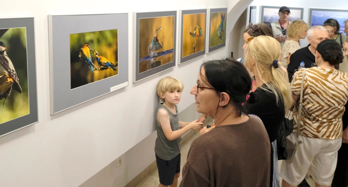 Aves – Elżbieta Rogaczewska-Czępińska's exhibition