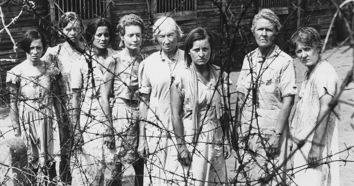 'Masterpiece' war drama you’ve probably never heard of that you can watch for free