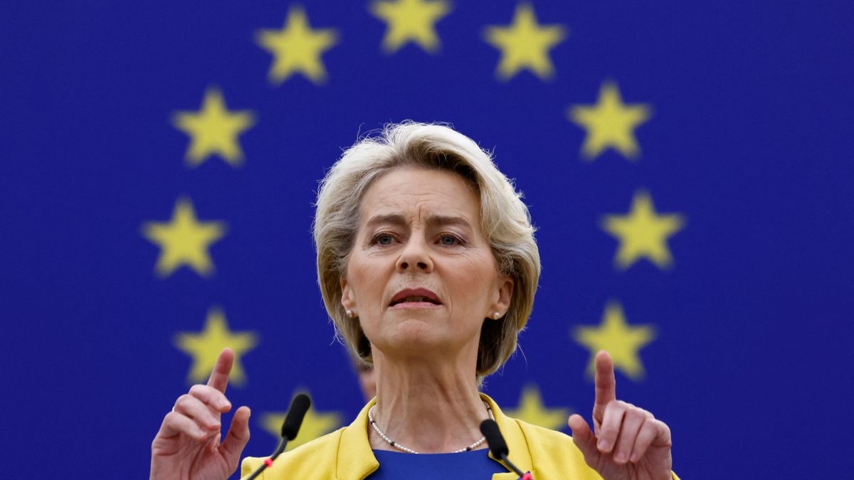 Rare earths: EU seeks alternatives to China for critical raw materials
