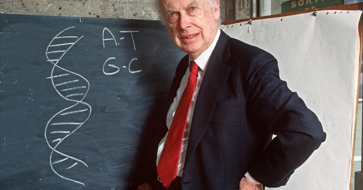 „Pionier“ und Persona non grata: James Watson, der Entdecker der DNA-Struktur.