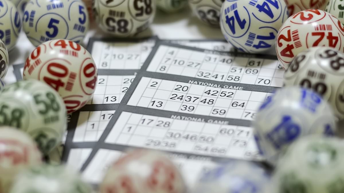 The Chancellor's taxes could shut bingo halls, warns top boss