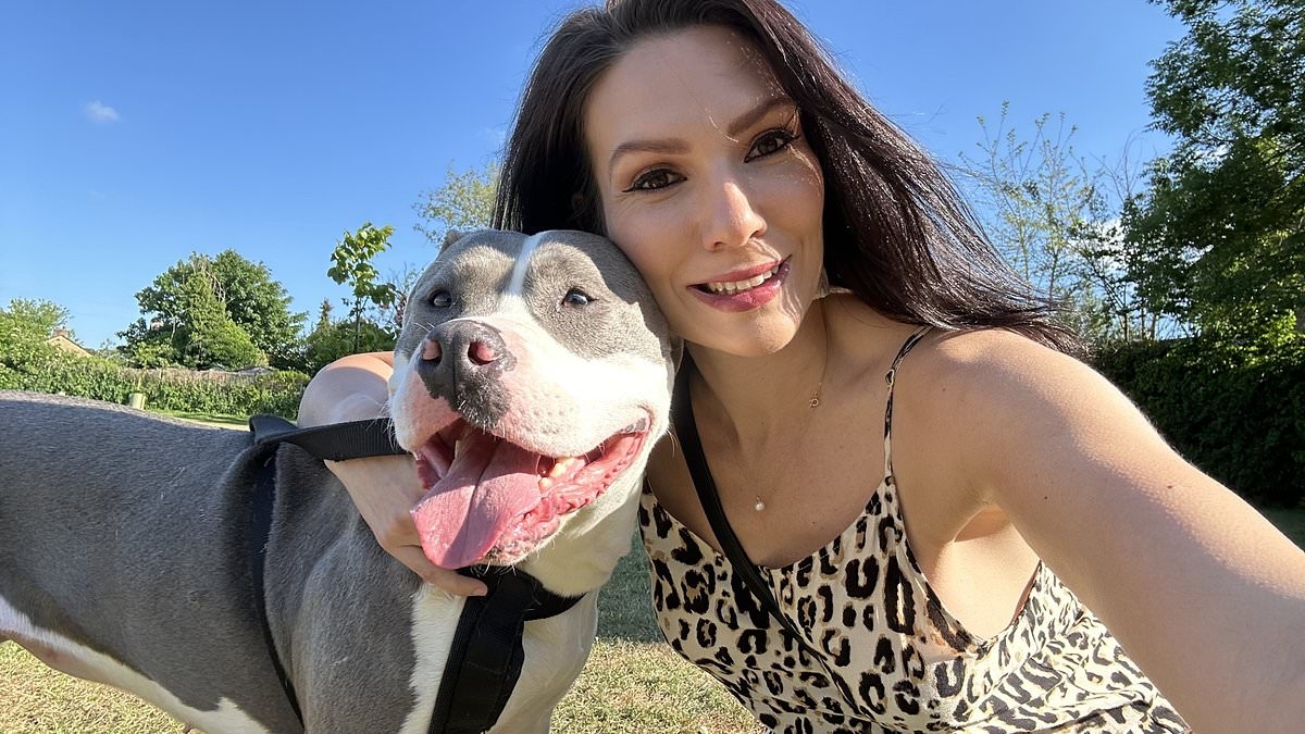 La moitié des adultes déclarent utiliser désormais l'IA pour gérer leur argent.