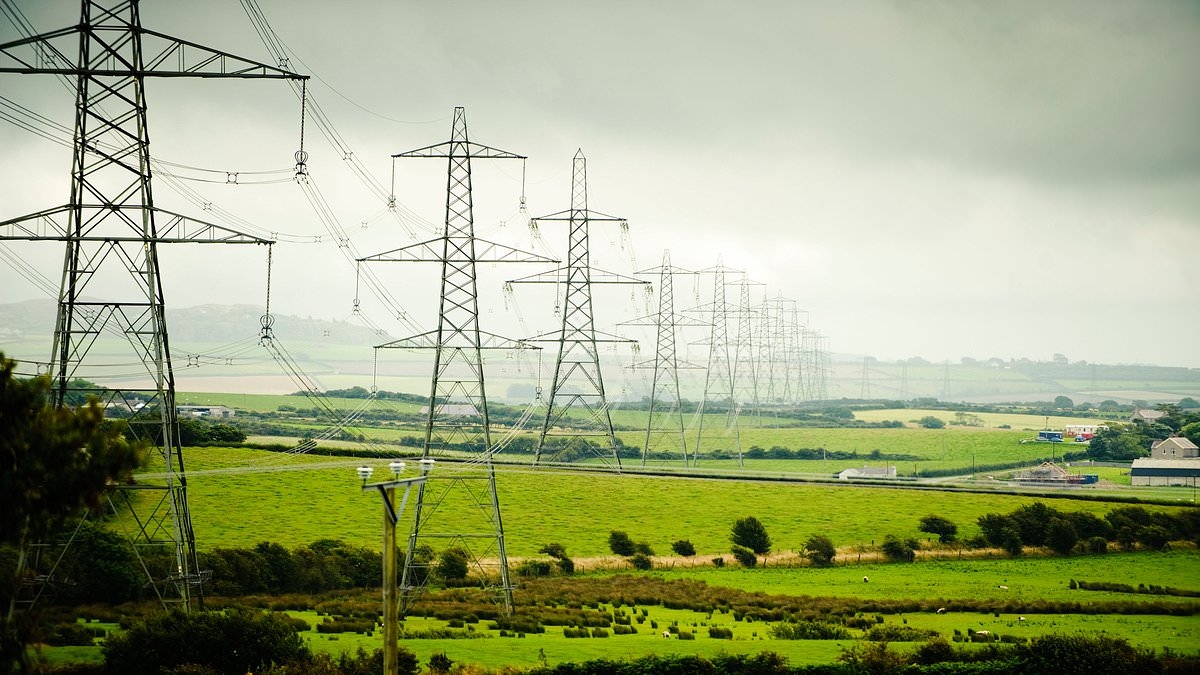 Les troubles politiques à Cardiff mettent en péril le projet de pylônes de 320 kilomètres.