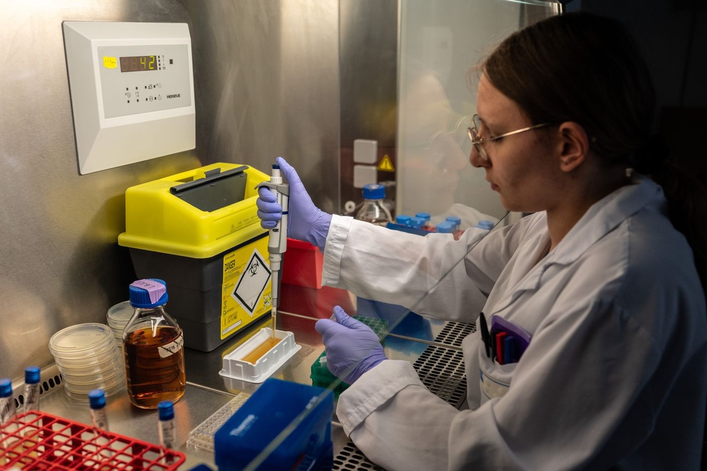 “Uma aposta louca!”: em Lyon, vírus para combater bactérias resistentes a antibióticos