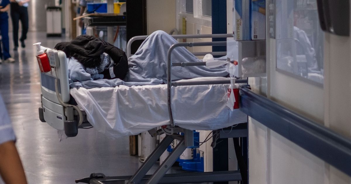 Acil servis koridorunda bakım hizmeti, hastaların sedyelerde bakılması nedeniyle 'ulusal utanç kaynağı'