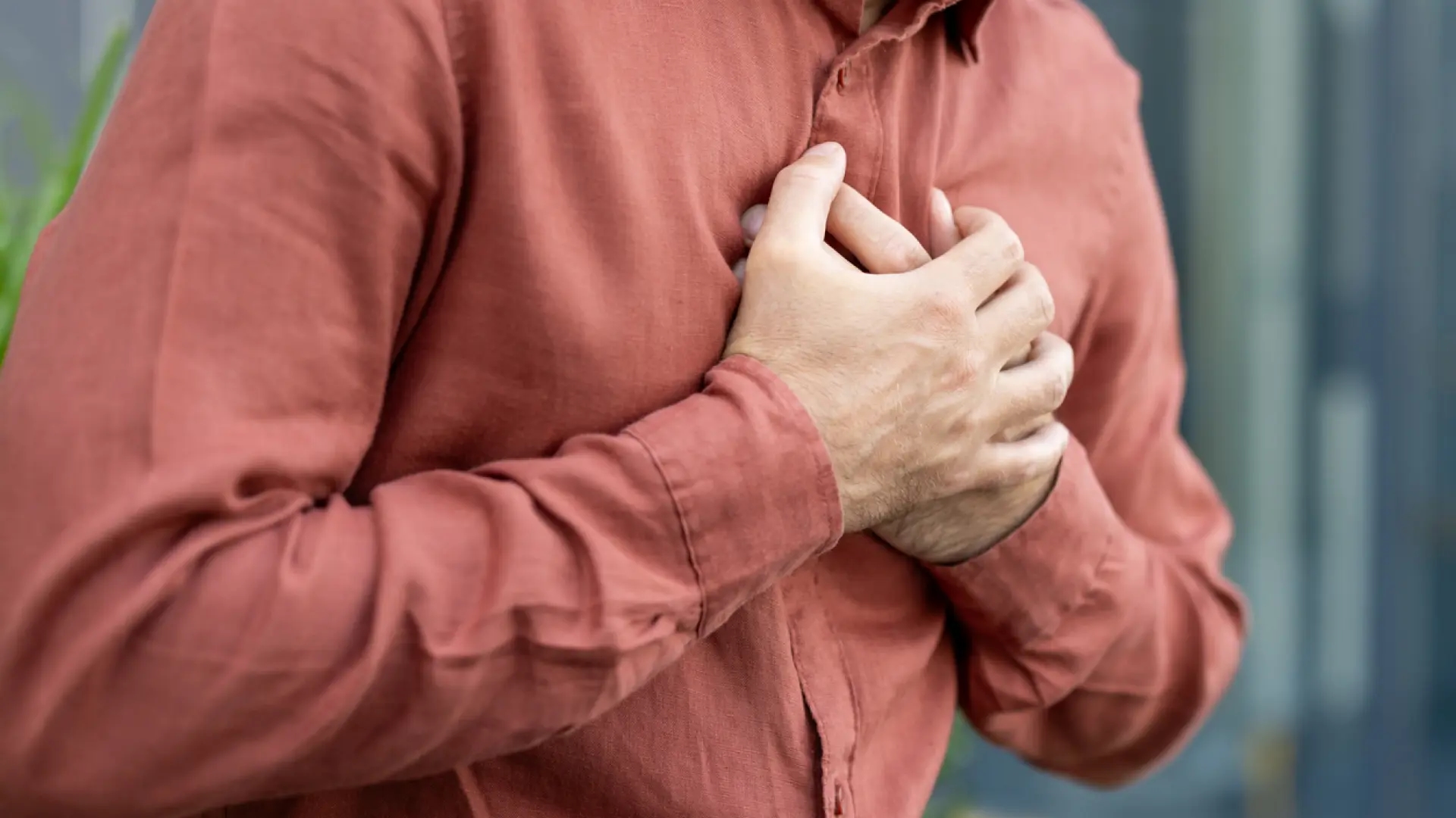 «Сердечная заплата», восстанавливающая ткани после сердечного приступа, успешно прошла испытания